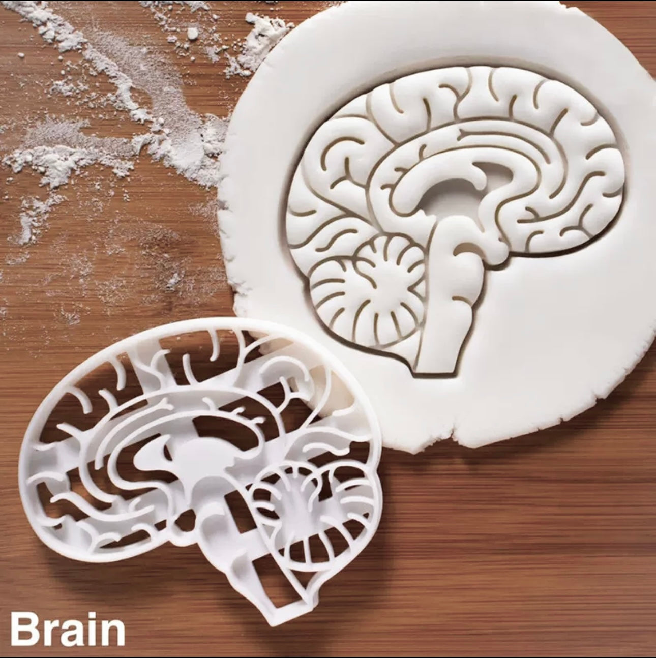 Brain imprint cookie cutter 